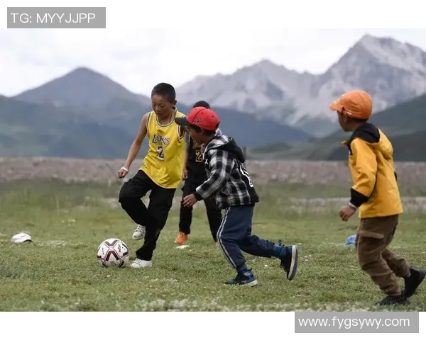 足球马宁波的魅力与挑战探讨及其在中国足球发展中的重要角色